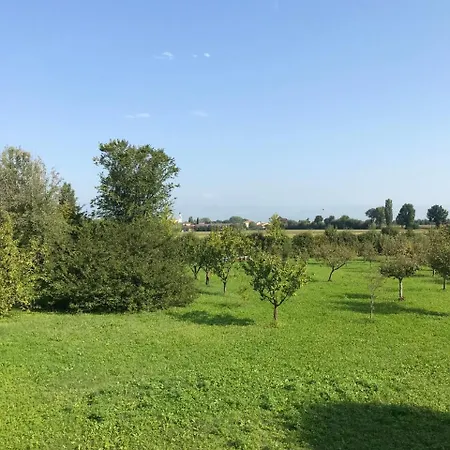 Albaspina Bioagriturismo 팜스테이 Monticello Conte Otto